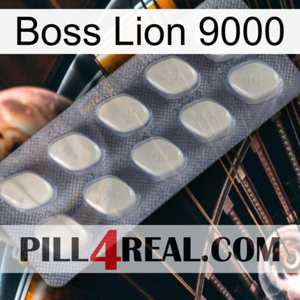 Boss Lion 9000 08.jpg